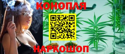 гидра Моздок
