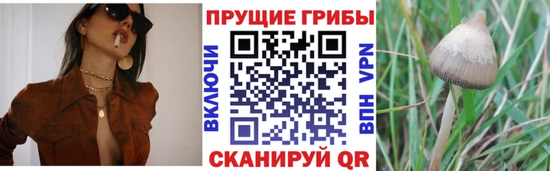 Галлюциногенные грибы мицелий  что такое наркотик  Медногорск 