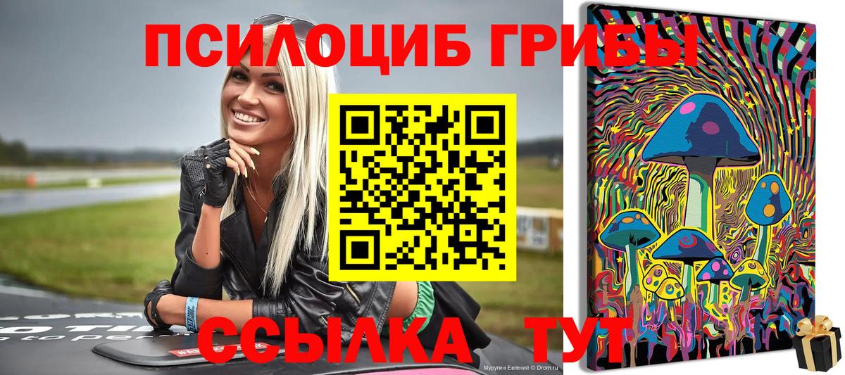 Псилоцибиновые грибы Psilocybe  Галлюциногенные грибы мицелий  Медногорск  Вход с VPN 