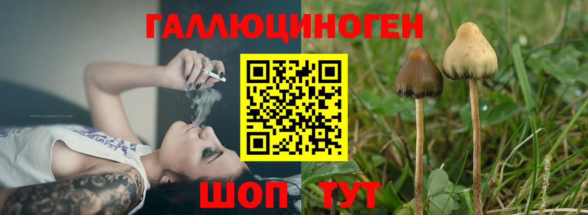 Псилоцибиновые грибы ЛСД  Галлюциногенные грибы Magic Shrooms  Медногорск 