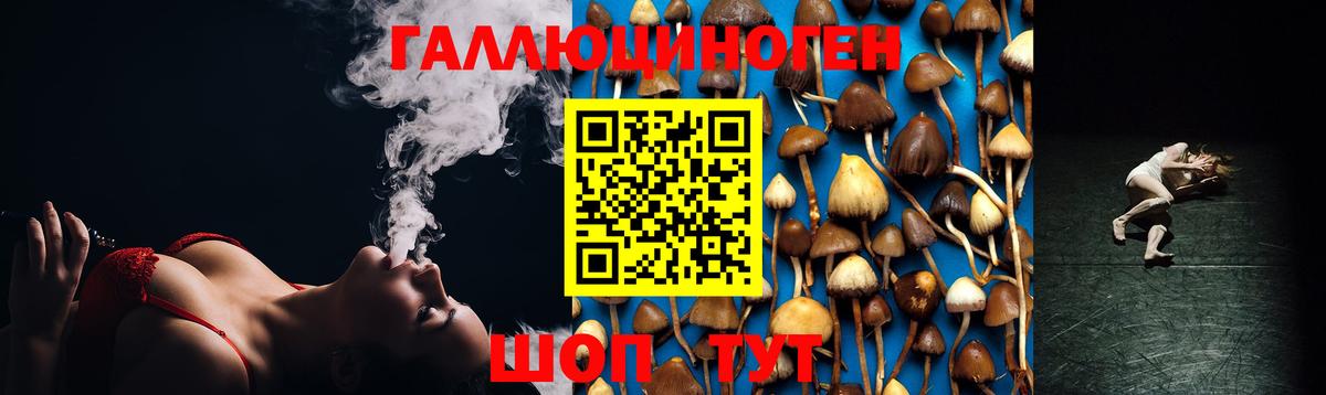 Галлюциногенные грибы GOLDEN TEACHER Медногорск